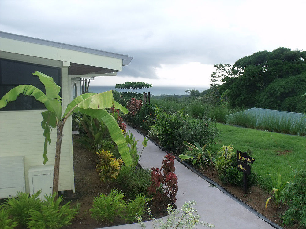 Eden Tica Lodge Uvita Eksteriør bilde