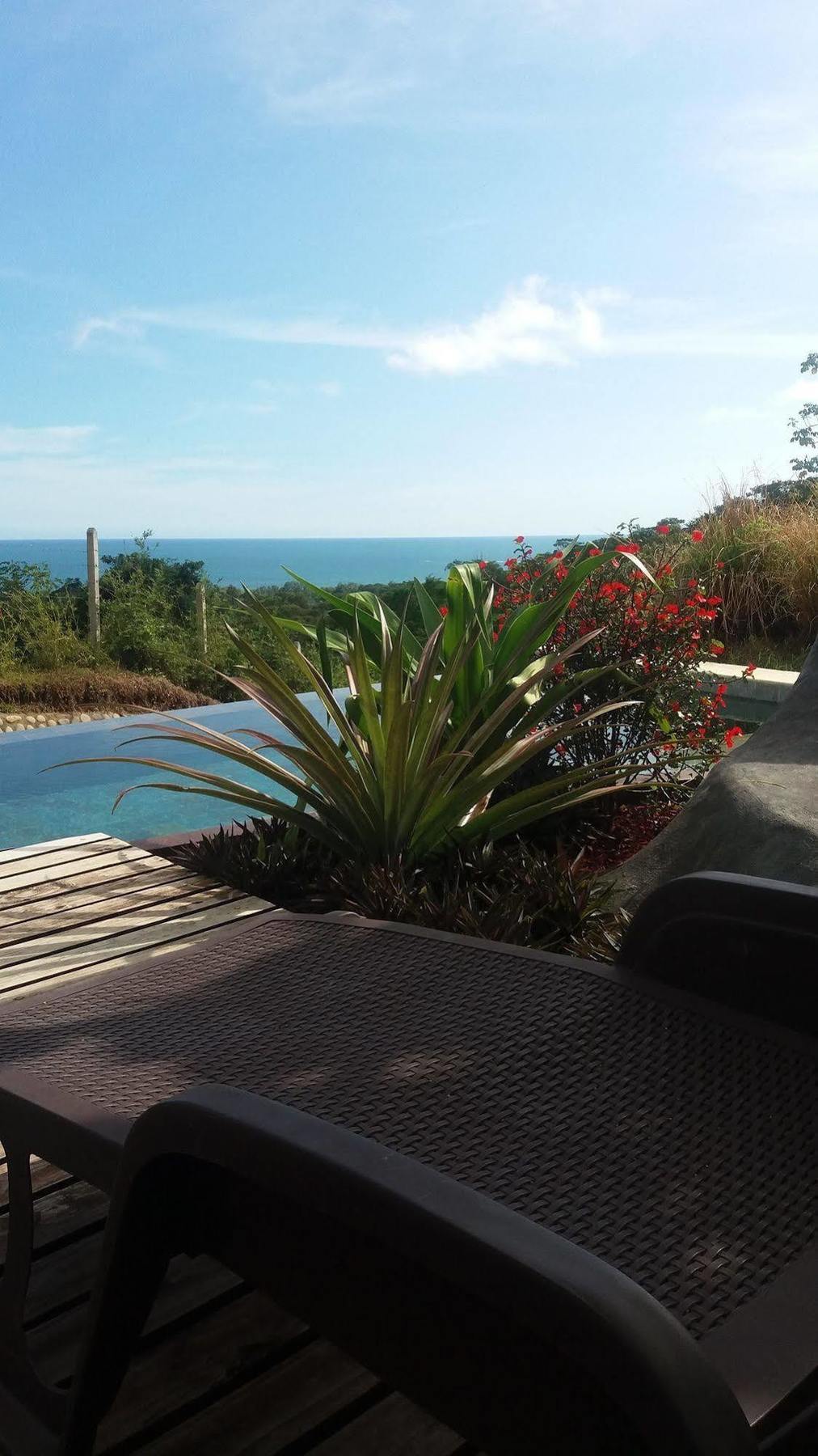 Eden Tica Lodge Uvita Eksteriør bilde