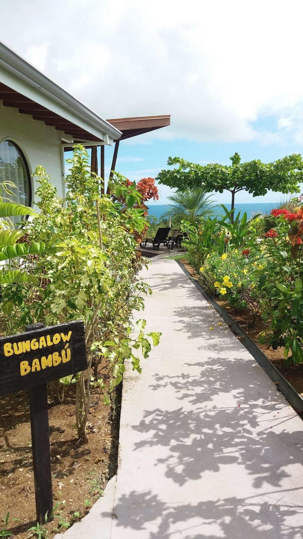 Eden Tica Lodge Uvita Eksteriør bilde