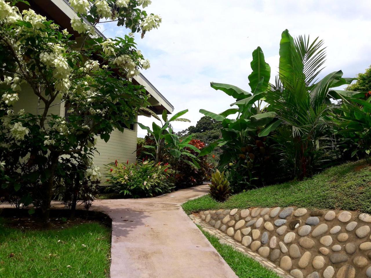 Eden Tica Lodge Uvita Eksteriør bilde