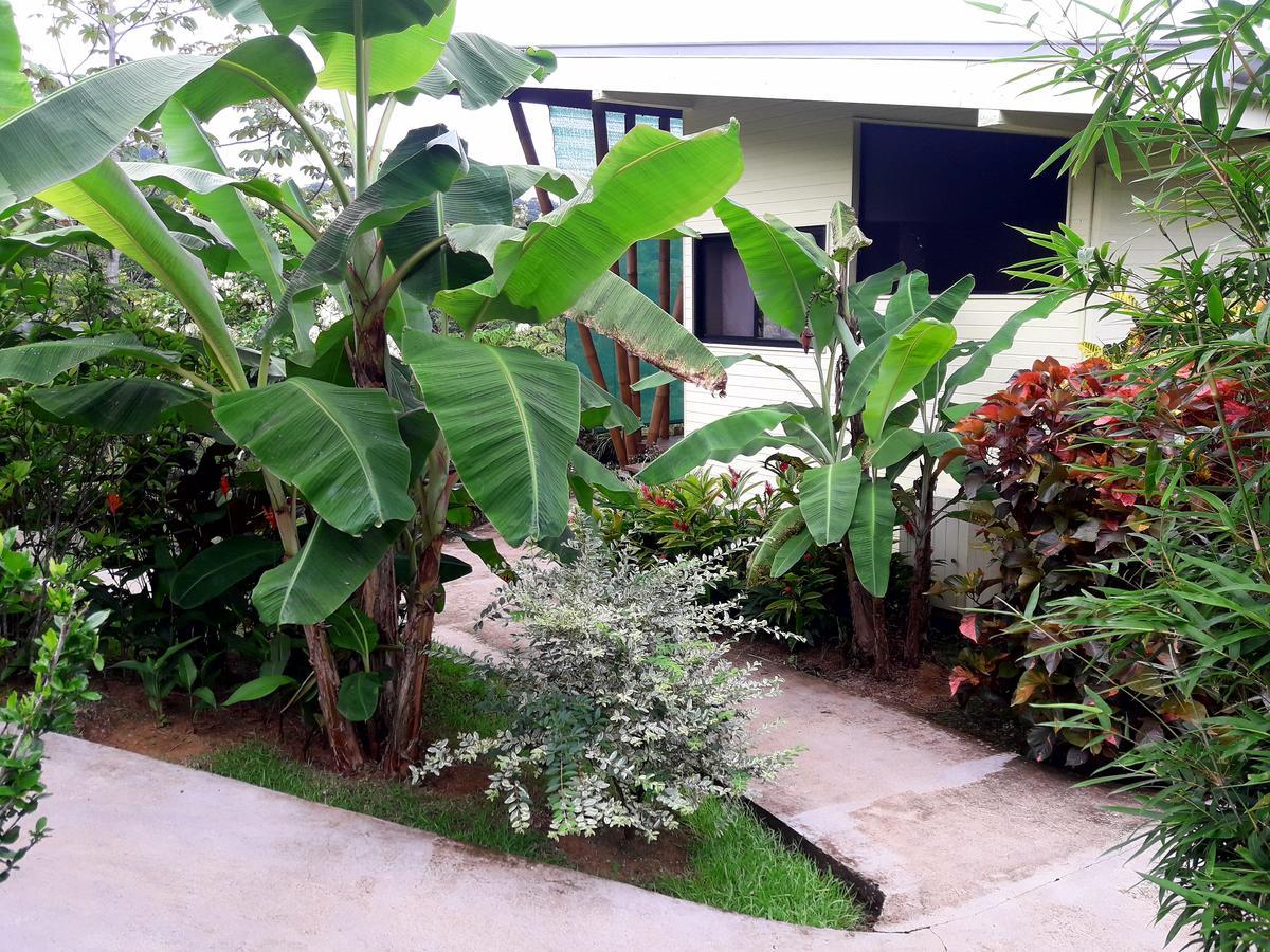 Eden Tica Lodge Uvita Eksteriør bilde