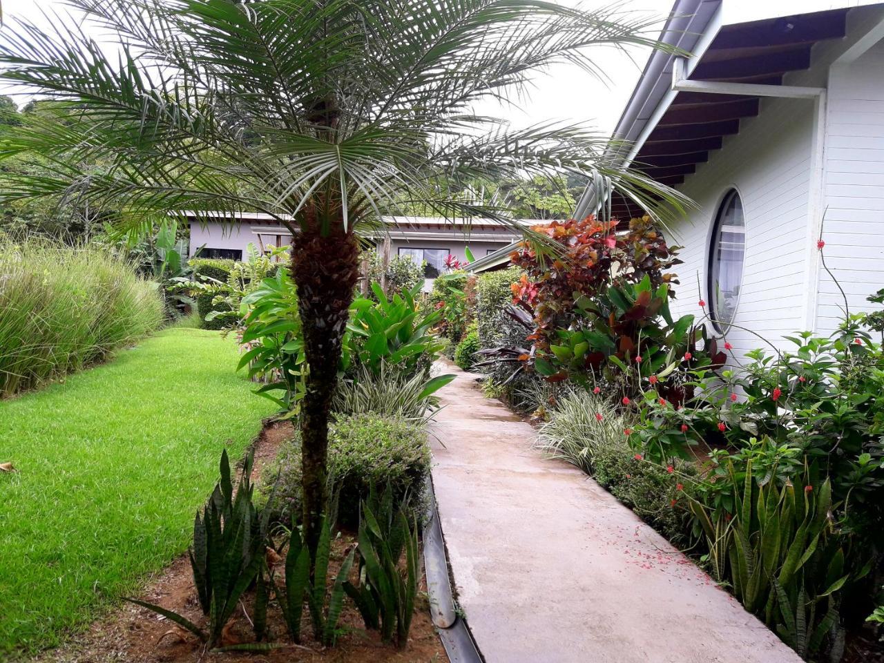 Eden Tica Lodge Uvita Eksteriør bilde