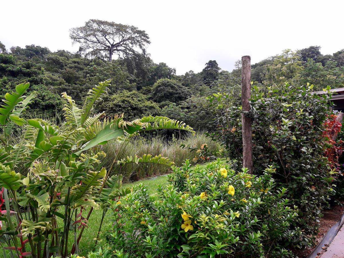 Eden Tica Lodge Uvita Eksteriør bilde