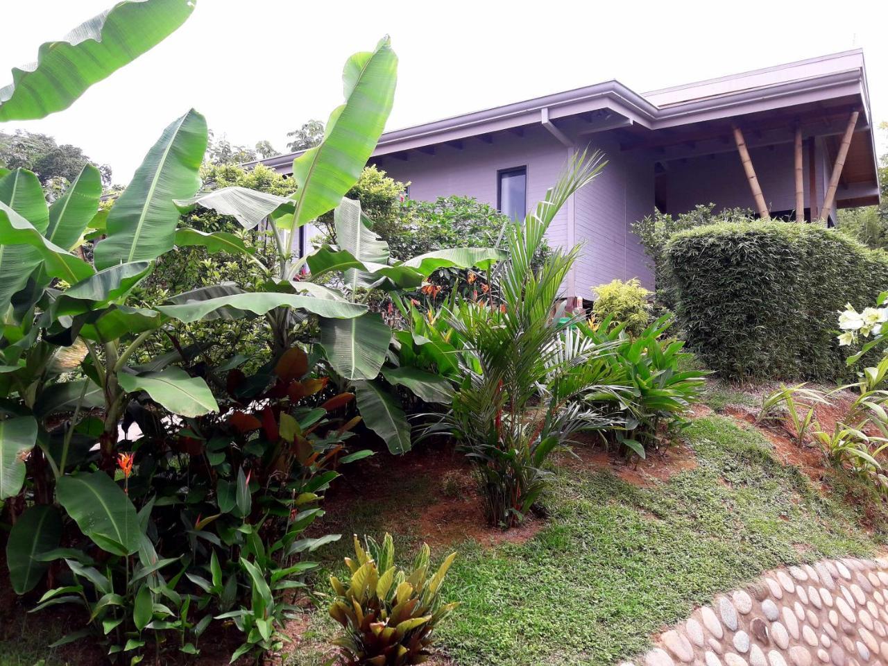 Eden Tica Lodge Uvita Eksteriør bilde