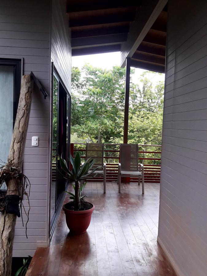 Eden Tica Lodge Uvita Eksteriør bilde