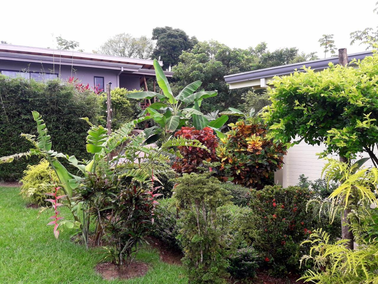 Eden Tica Lodge Uvita Eksteriør bilde