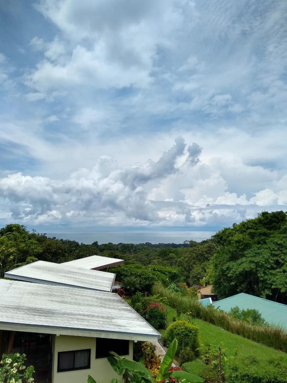 Eden Tica Lodge Uvita Eksteriør bilde